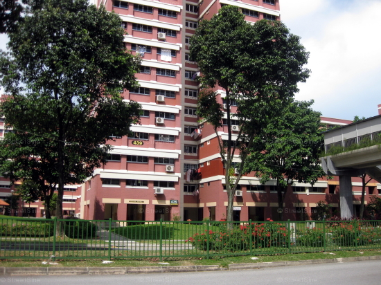 Blk 439 Hougang Avenue 8 (Hougang), HDB 3 Rooms #236702